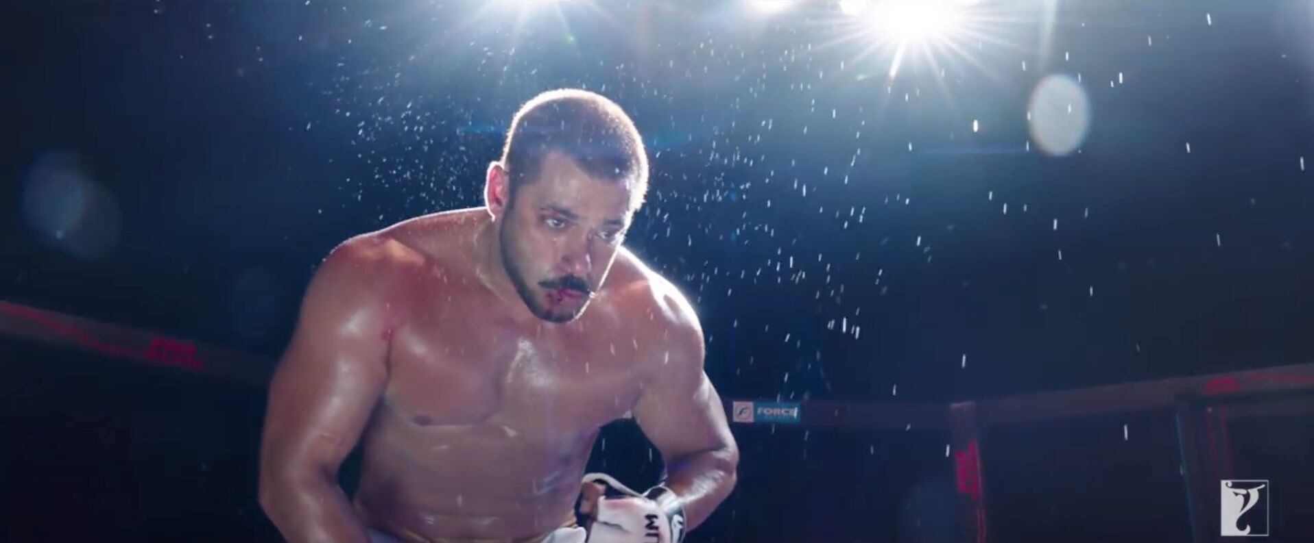 Movie Review – Sultan (2016)